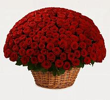 Премиум букет из: Розы в Нежинском