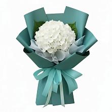Букет цветов из:  Гортензия в Нежинском